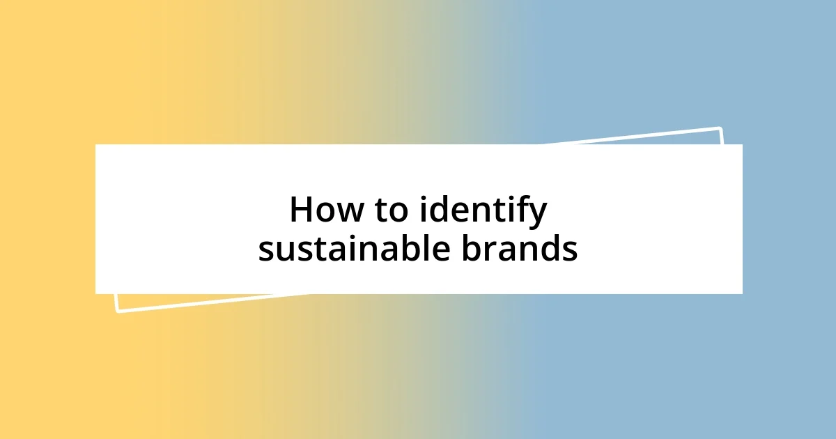 How to identify sustainable brands